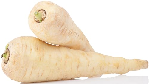 500+ Parsnip Seeds for Planting - All American - Heirloom Non-GMO USA Grown by RDR Seeds