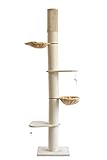 Clamaro 'Athen' XXL Katzenbaum deckenhoch höhenverstellbar (beige), Katzen Kratzbaum extra groß mit Ø20 cm Sisal Säulen, 2 Liegeplätzen und 2 Liegemulden - Maße (B/T/H): 50x60x240-275 cm (B-Ware)