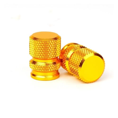 GLXp_[ ɓK XYL ɓK VXg[ 250 DL250 ɓK VXg[ GW250 DL GSX250R oCNANZT[ TChX^hgGNXeV LbNX^hpbh ouLbv(GOLD-VALVE