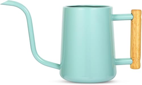 Image of Watering Can Indoor Plants, 35 oz /1000 ml Metal Stainless Steel Watering Can Pot with Long Spout for Indoor House Plants Bonsai Outdoor Garden Flower Decorative (Green