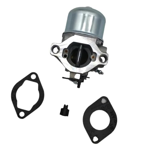 Carburateur moteur 28B702-1154-E1 pour un démarrage à froid fluide et une carburation stable