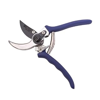 Amazon Basics sécateur bleu 21,8 cm à lames antirouille