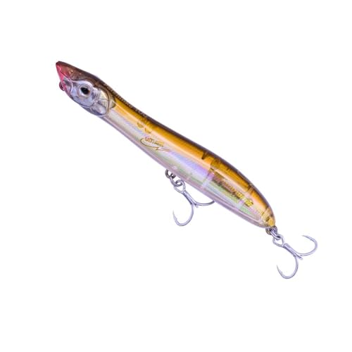 Leurre Patchinko 100 Xorus Atherine pour décider les bars méfiants en eau claire