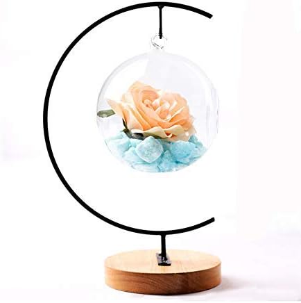 Black Iron Hanging Plant Stand with Wooden Base