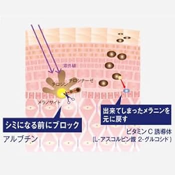 Amazon | ヴァーナル 薬用 クリアホワイトニング 100mL 美白