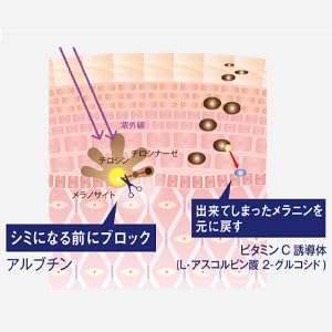Amazon | ヴァーナル 薬用 クリアホワイトニング 100mL 美白化粧水