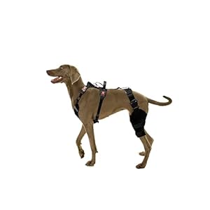 SurfPaws Professional Dog Knee Brace with Harness – Ultimate Joint Support and Mobility Aid for ACL, CCL, and Joint Injuries (Large)