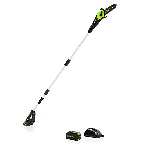 Greenworks Pole Saw The 15 best products compared