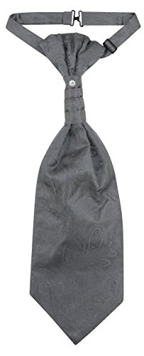 Image of Vesuvio Napoli PreTied ASCOT Solid PAISLEY Color Cravat Men's Neck Tie 21 Colors