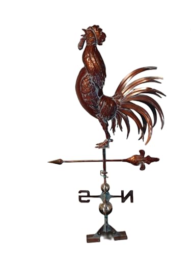 How old is a rooster when it starts crowing