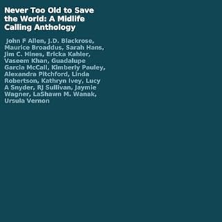 Never Too Old to Save the World Audiobook By John F Allen, J.D. Blackrose, Maurice Broaddus, Sarah Hans, Jim C. Hines, Ericka