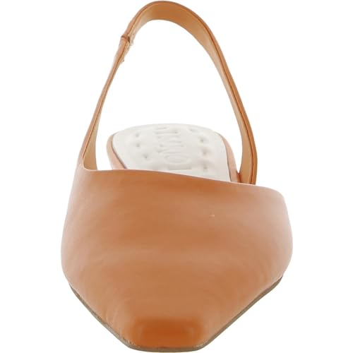 Franco Sarto Women's Riva Pointed Toe Slilngback Flats Ballet3