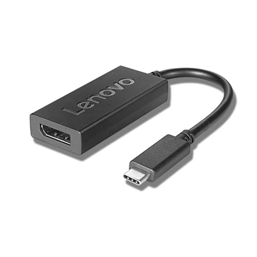 Adaptateur USB-C vers DisplayPort Lenovo 4X90Q93303 convertisseur vidéo écran