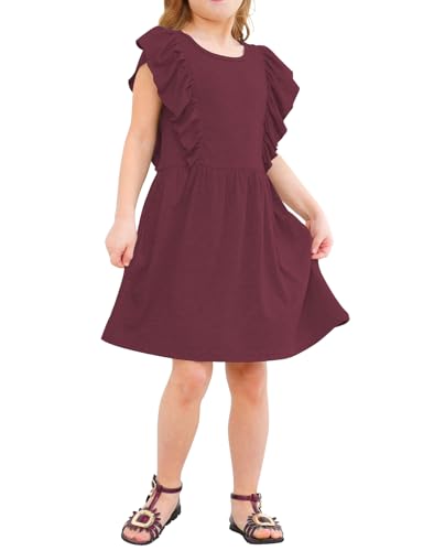 Jimonda Girls Dress Ruffle Sleeve Toddler School Skater Dress for Kids 2-8Y