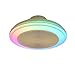 Wentylator sufitowy RGB ze światłem Wifi i pilotem, wentylator żyrandolowy z pilotem Wentylator sufitowy z oświetleniem sufitowym i wentylator sufitowy Bluetooth ze światłem Wifi 50 CM