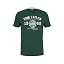 25340 | Dark Pine Fiorest