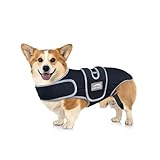 Furtent IVDD Back Brace for Dogs – Adjustable Medium Spinal Support Harness for Corgi, Beagle and Similar Breeds (Medium)