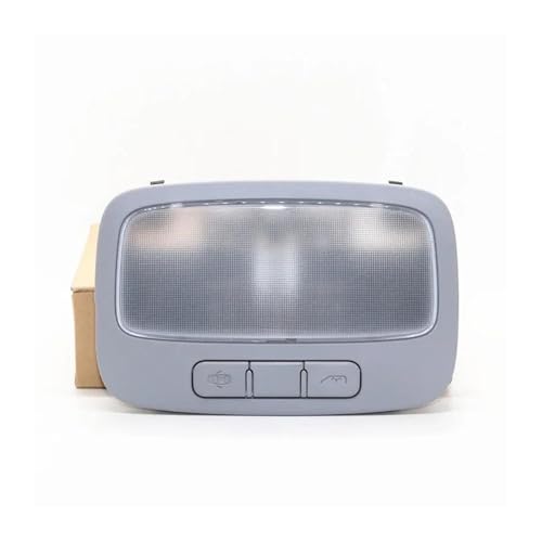 Lámpara de consola central 928704H000TX plafón de techo gris Hyundai Starex H1