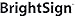 BrightSign Wireless Module WA100NA