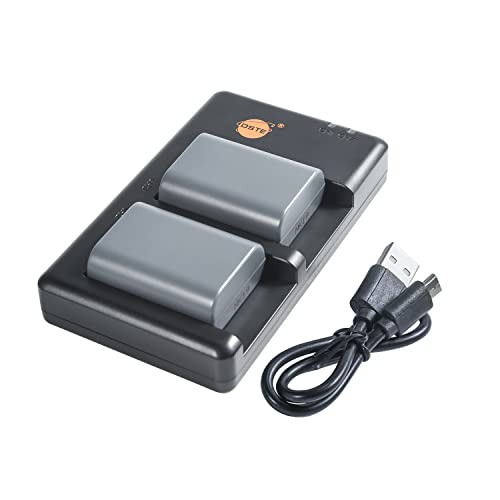 Batterie NB-2LH pour Canon Optura 30 40 50 : kit chargeur double anti-panne