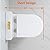 WinZo Small 23 inch One Piece Toilet with 10 inch Rough-in Compact For Compact Short Bathroom,White with Golden Button