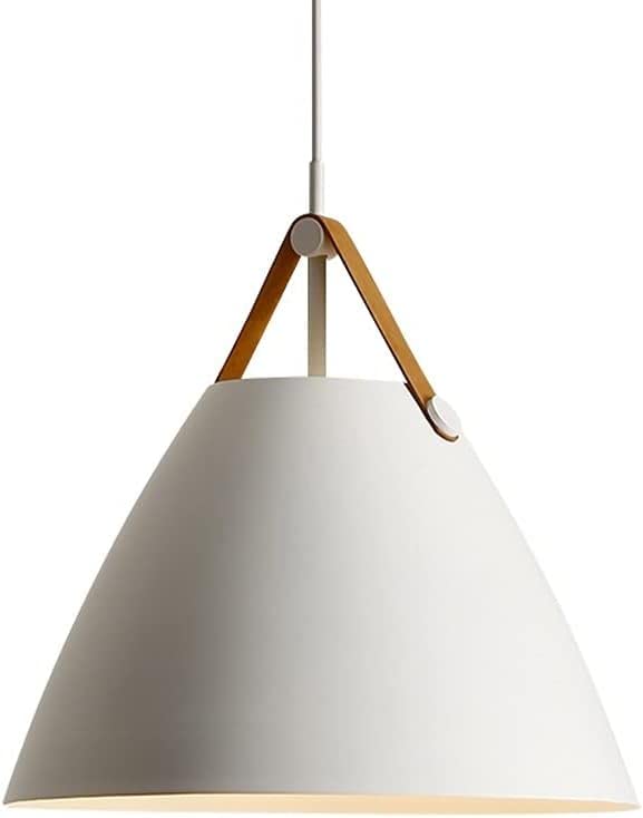 Lustre nordique en fer et pendentif LED de la ceinture ronde haut de gamme