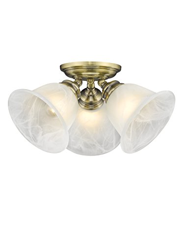 Livex Lighting 1358-01 Essex Ceiling Mount