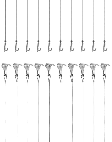Alambre Colgante para Colgar Cuadros Pinturas Fotos, Cable de Colgar de Acero Inoxidable de 2m x Φ1.5mm con Ganchos Ajustables y Gancho de Carril, 10 Piezas