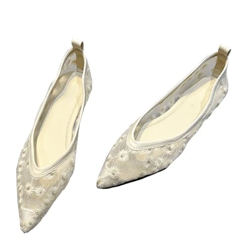 INEELUYI Women's Chinese Style Flat Shoes Printed Pointy Toe V-Cut Dressy Ballets Flats