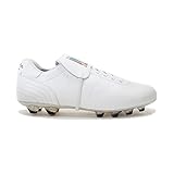 PANTOFOLA D’ORO 1886