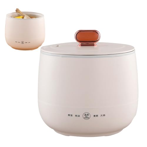 ^ъ - 110V/220V ъ  t - AX[vAV`[p̑@\CX|bg Biwingarden