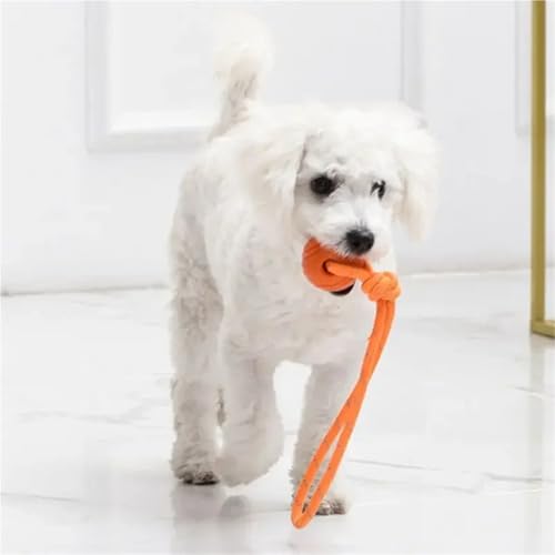 Balle d'entraînement pour chien en coton durable interactive bleue