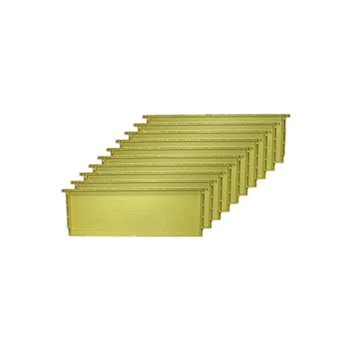 Mann Lake Premium Beekeeping Frames All-In-One Frame & Foundation Beeswax Coating Universal Fit BPA & BPS Free 6 1/4 Inches Natural 10-Pack