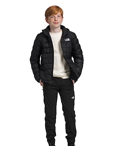 The North Face Boy's Thermoball™ Hooded Jacket (Little Kids/Big Kids)