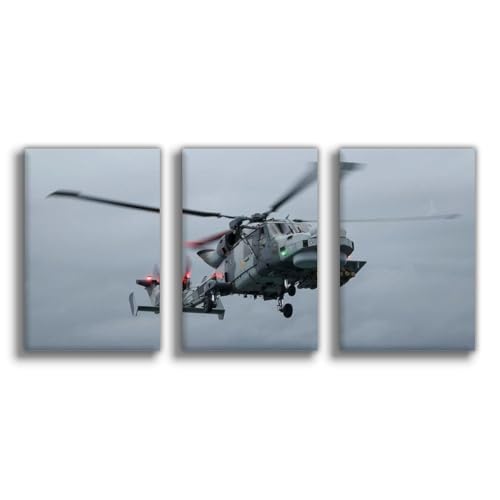 Poster Wildcat Fighter 50x75 cm : Idée Cadeau Idéale pour Passionné d'Aviation