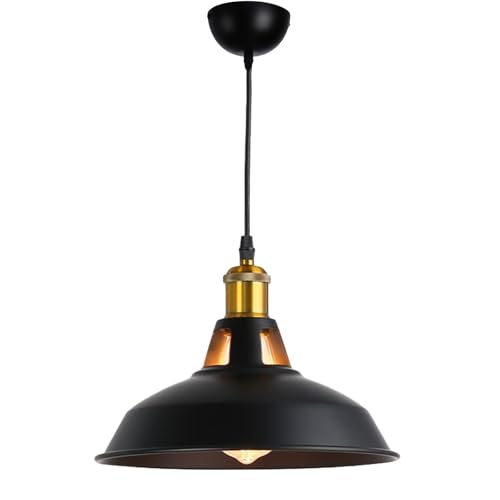 Alpinaluz Lámpara de Techo Colgante Negra