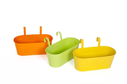 Large Hanging Planters