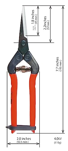 Tijeras profesionales para jardinería CHIKAMASA T-55C miniatura 5