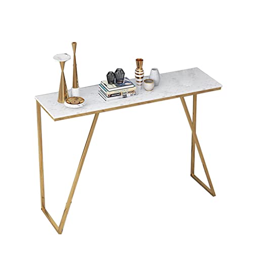 AHRITA Tables Basse Table De Canapé Simple Table Console en Acier Inoxydable, Table D'entrée pour Le Foyer, Le Couloir, Le Salon, Robuste Et Durable