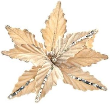 PARTENOPE 91003 Flower Short Stem Champagne, Einheitsgröße, See Photo