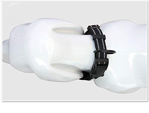 Truelove Dog Training Halsband tlc5011 Reflektierende Premium Accessoires aus Duraflex Schnalle Nylon schwarz,