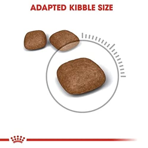 Royal Canin Feline Care Nutrition Urinary Care Dry Cat Food 2 Kg, Red(for All Life Stages,Chicken Flavor), 1 Count