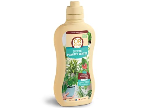 OR BRUN Engrais Plantes Vertes - 1L - Favorise La Croissance & Fortifie Les Plantes - Fabriqué En France - Utilisable En Agriculture Biologique OBRECLPLINTER1