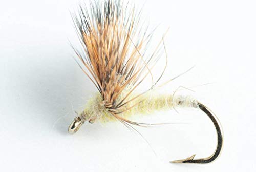 Blue Wing Olive Sulfur Comparadun Dry Fly, 6 Pack (Light, 10)