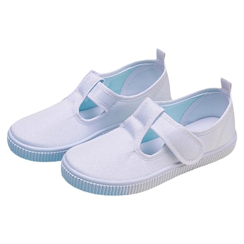 㗚  qC LbY n RۖhL ̎q j̎q L }WbNe[v y ʋC ~ qp C ʊw tbg V[Y C w w Z ʊwV[Y ̈كV[Y ʊw ʉ ^ (22.0 cm,Mul