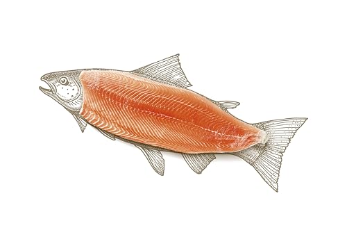 Carnilove True Fresh Fish für ausgewachsene Hunde, 1,4 kg