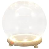 POPETPOP Cloche d'Exposition en Verre Base en Bois et Éclairage Intégré, pour Plantes Succ...