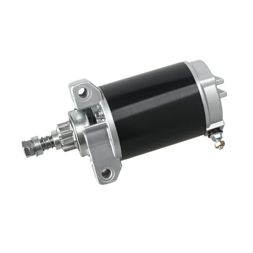 Démarreur Moteur Hors-Bord 4 Temps pour Sorties en Mer sans Souci