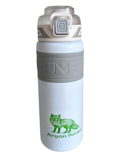 Insulated Stainless Steel Water Bottle with push-button lid with lock and Straw for Sports and Travel, BPA-Free Sports Water Bottle, 22 oz (White, 22 oz)