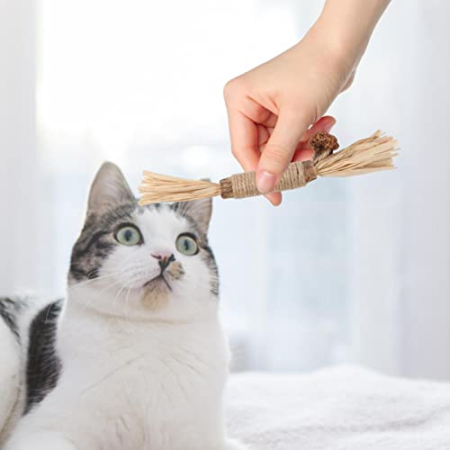 Vara de limpeza de dentes de gato | Snacks seguros para gatos, brinquedos para mastigar | Brinquedo